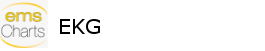 emsCharts Logo